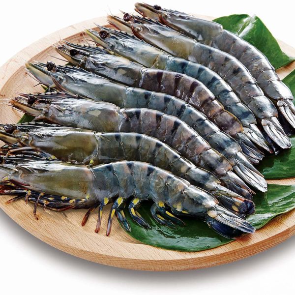 一品閣鮮凍馬來西亞草蝦（10P-240g）